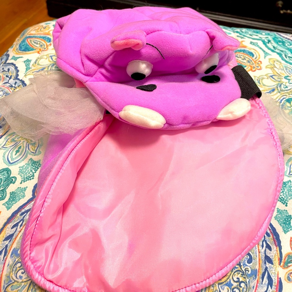 Pet Costume
